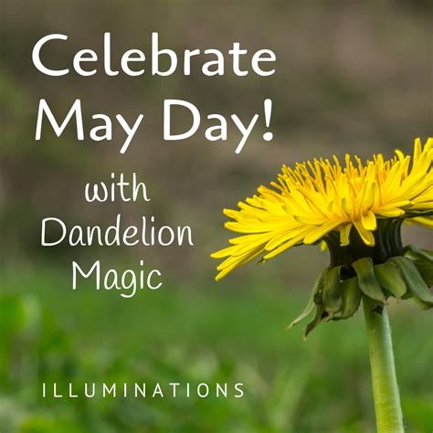 Dandelion Magic and the Element of Fire: Igniting Your Spellwork